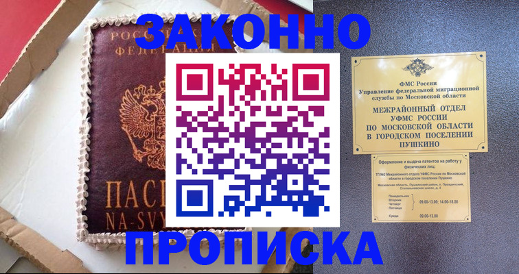 временная регистрация для всех в Амурской области